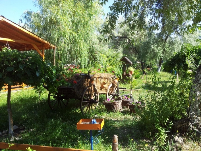 zobacz camping - zdjęcie 11