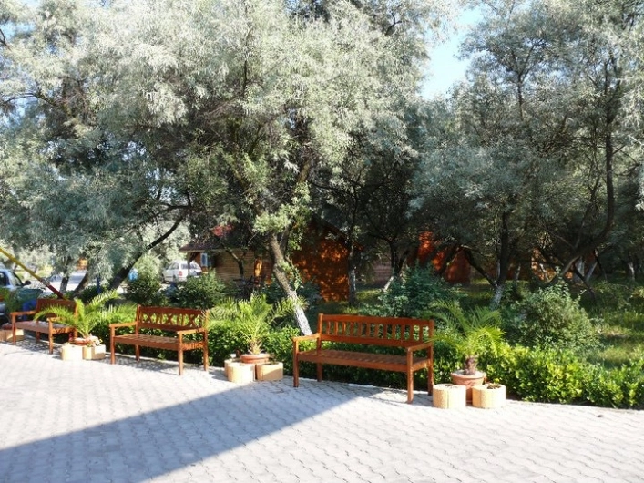 zobacz camping - zdjęcie 9