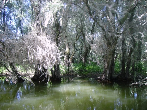 zobacz camping - zdjęcie 4