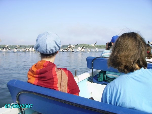 Camping Lac Murighiol - zdjęcie 1