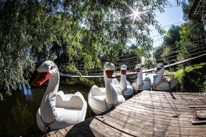 zobacz camping - zdjęcie 8