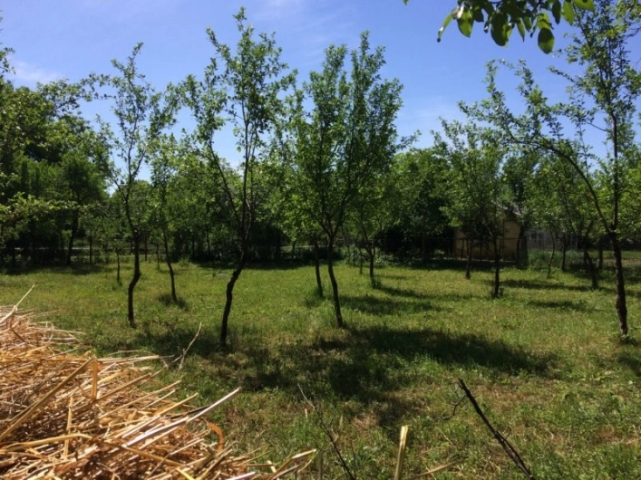 zobacz camping - zdjęcie 12