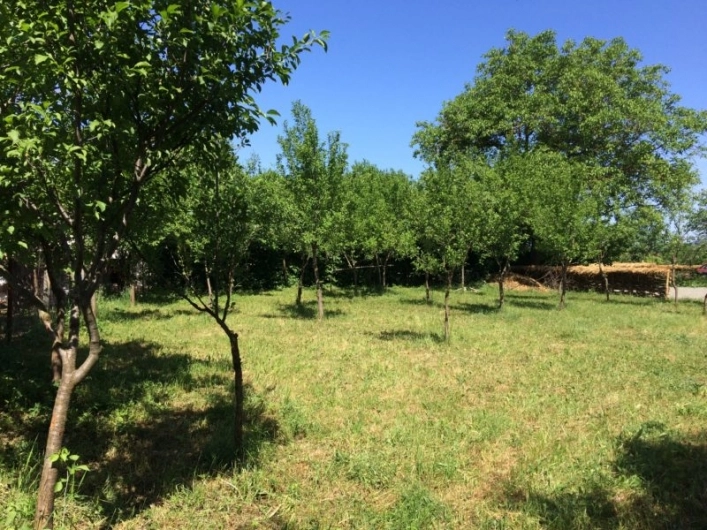 zobacz camping - zdjęcie 6