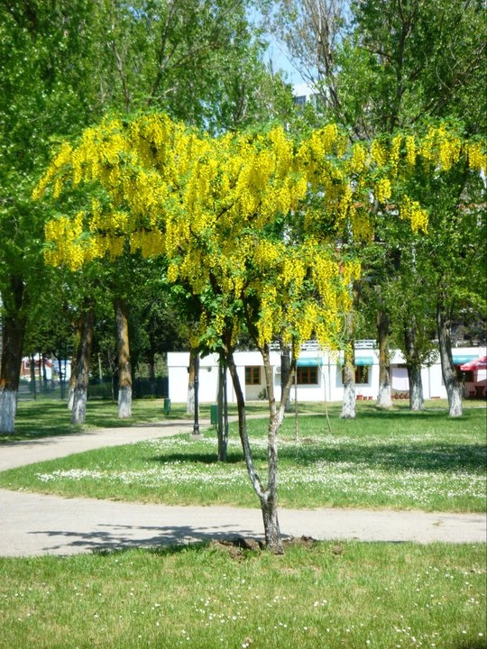 zobacz camping - zdjęcie 33