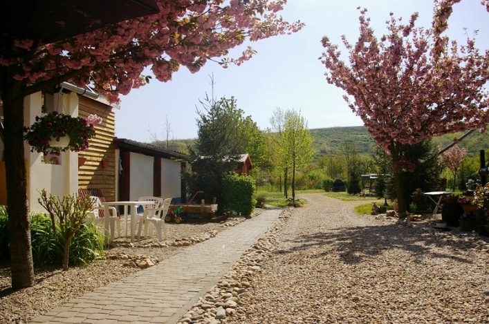 zobacz camping - zdjęcie 12