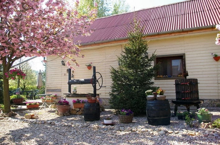 Camping Route Roemenie - zdjęcie 3