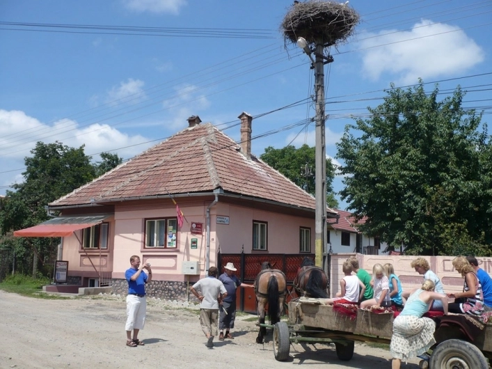 zobacz camping - zdjęcie 7