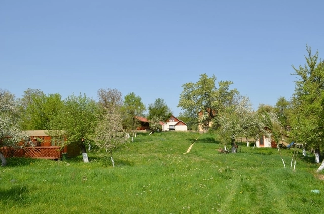 zobacz camping - zdjęcie 23