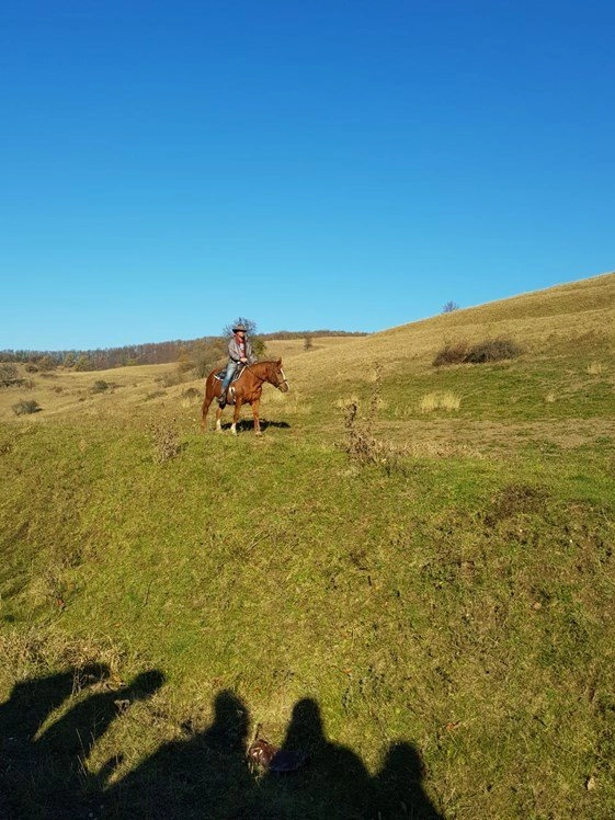 zobacz camping - zdjęcie 16