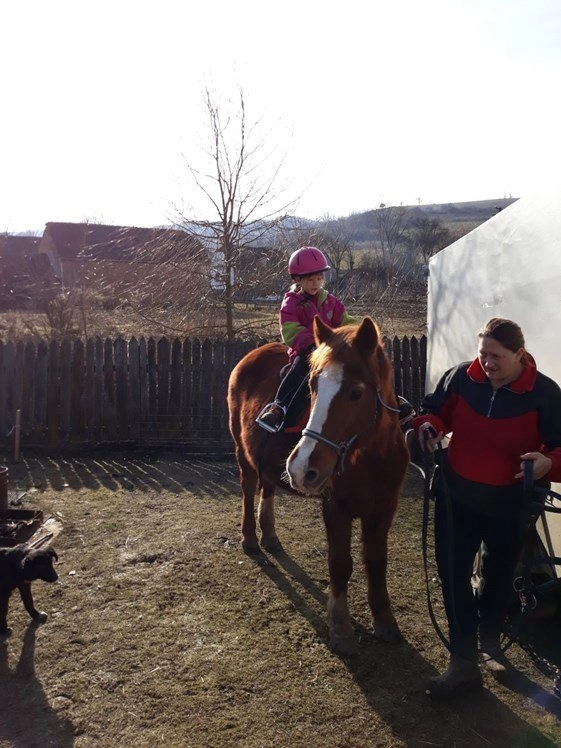 zobacz camping - zdjęcie 15