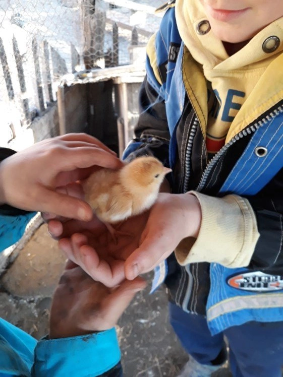 zobacz camping - zdjęcie 14