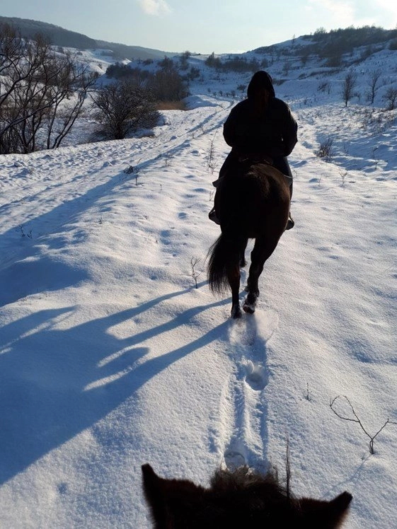 zobacz camping - zdjęcie 13