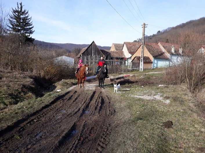 zobacz camping - zdjęcie 11