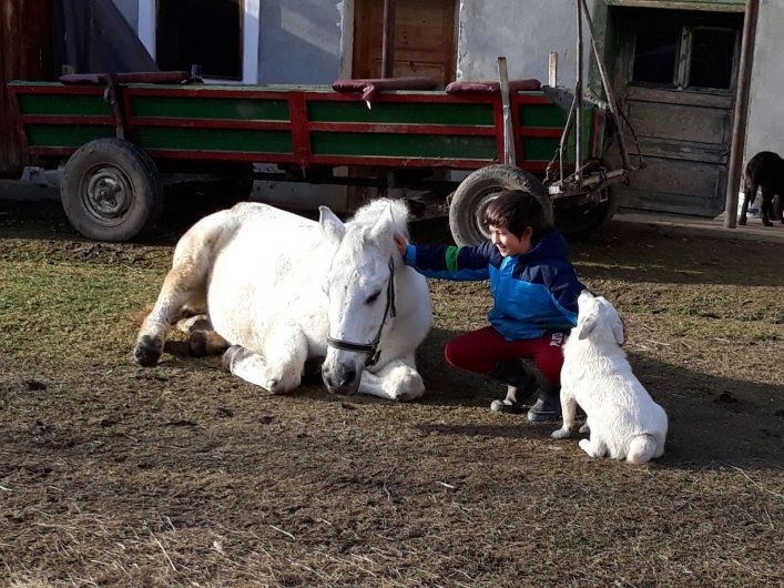 zobacz camping - zdjęcie 10