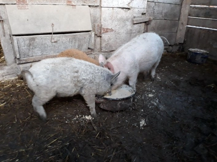 zobacz camping - zdjęcie 9