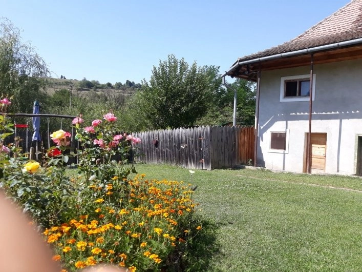 zobacz camping - zdjęcie 6