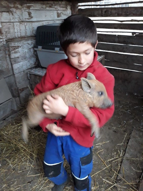 zobacz camping - zdjęcie 1