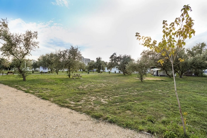 zobacz camping - zdjęcie 28