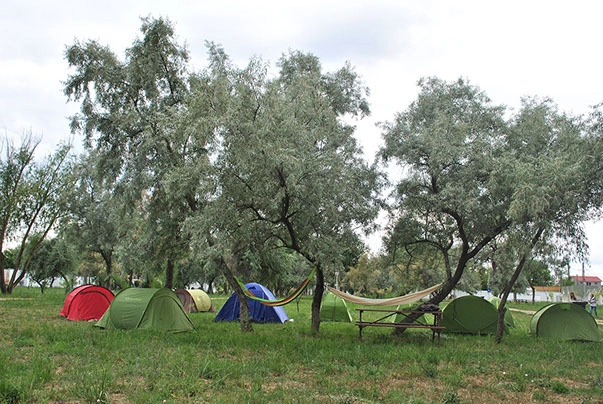 zobacz camping - zdjęcie 20