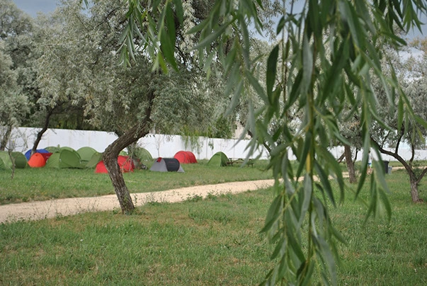 Hanul Piratilor Camping Village - zdjęcie 1