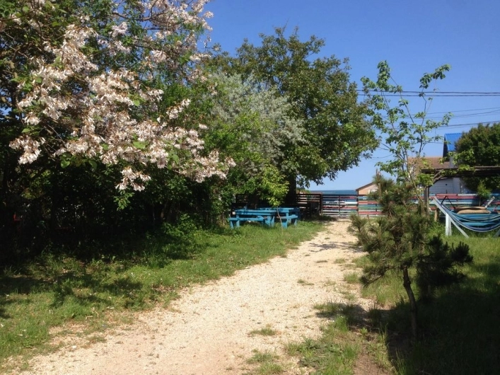 OZ Vama Veche - zdjęcie 2