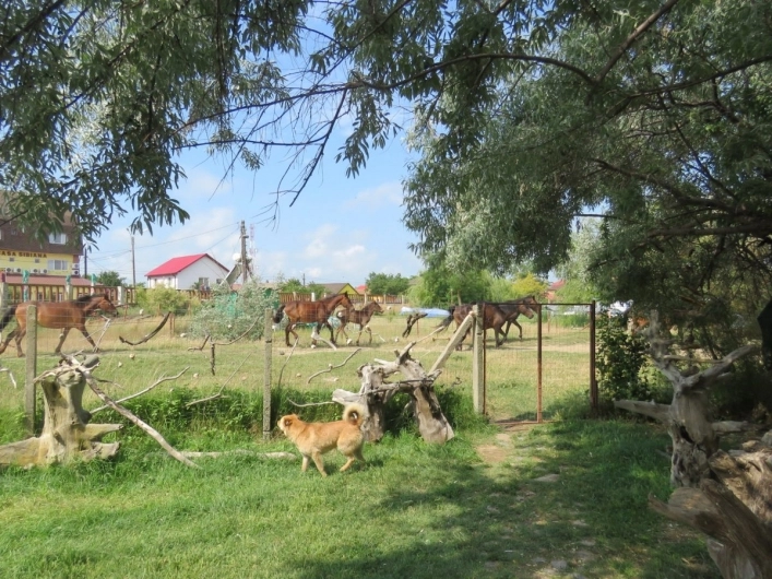 zobacz camping - zdjęcie 6