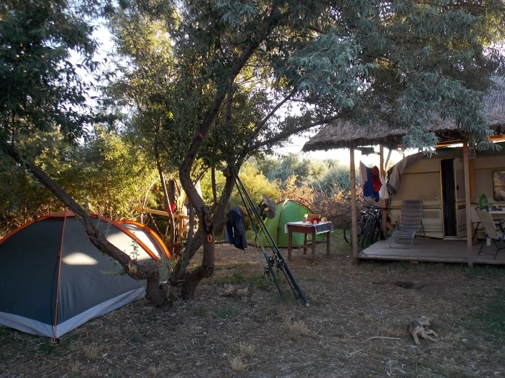 zobacz camping - zdjęcie 4