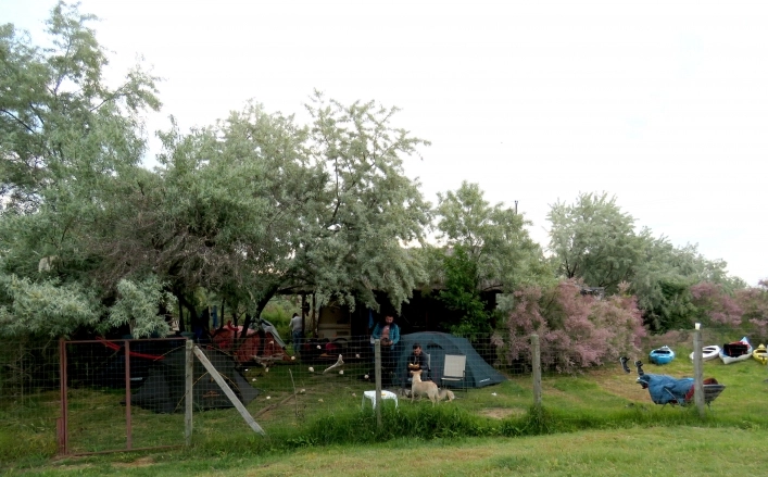Slow Motion Danube Delta - zdjęcie 2