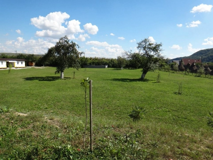 zobacz camping - zdjęcie 8