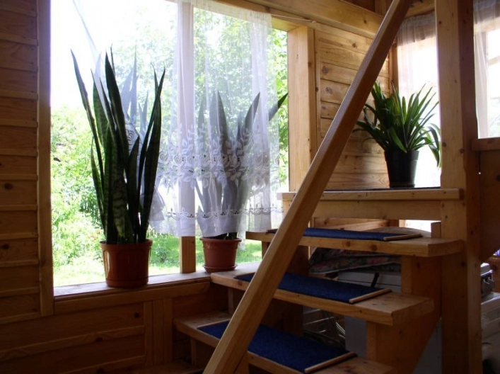 zobacz camping - zdjęcie 15