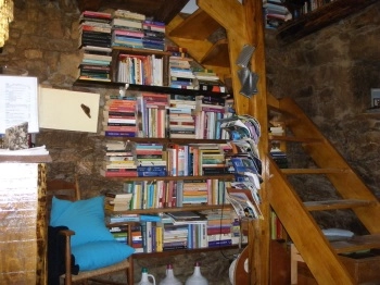 zobacz camping - zdjęcie 3