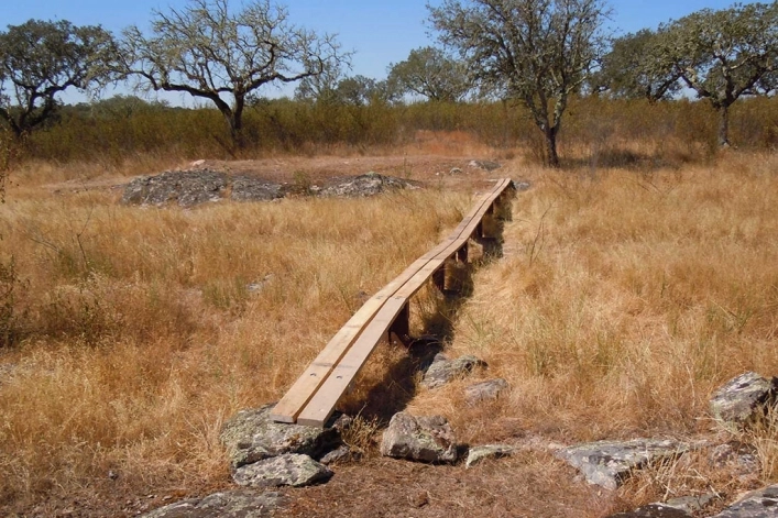 zobacz camping - zdjęcie 18