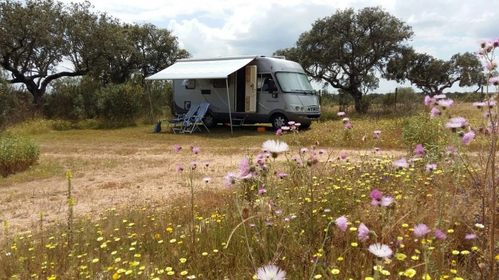 zobacz camping - zdjęcie 8