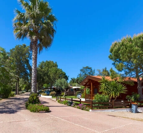 Caliço Park - zdjęcie 2