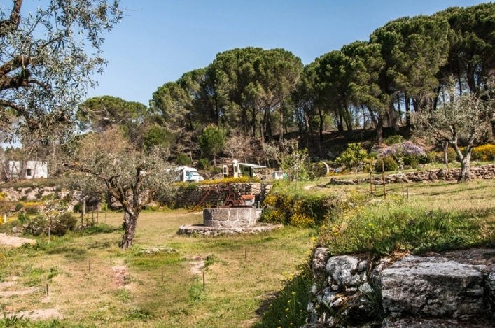 zobacz camping - zdjęcie 20