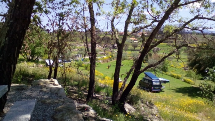 zobacz camping - zdjęcie 19