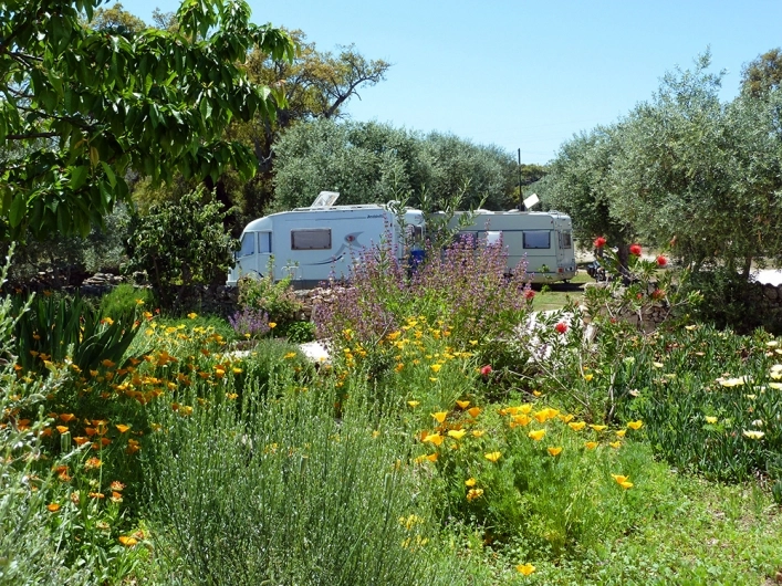 zobacz camping - zdjęcie 14