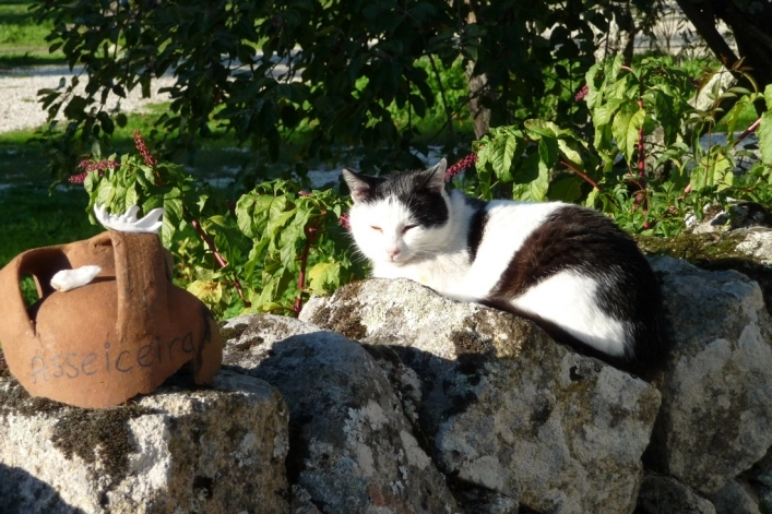 zobacz camping - zdjęcie 6