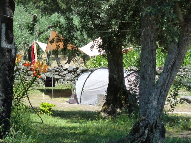 zobacz camping - zdjęcie 4