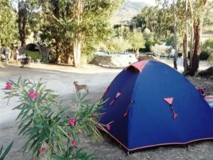 zobacz camping - zdjęcie 16