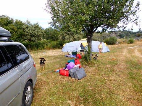 zobacz camping - zdjęcie 11