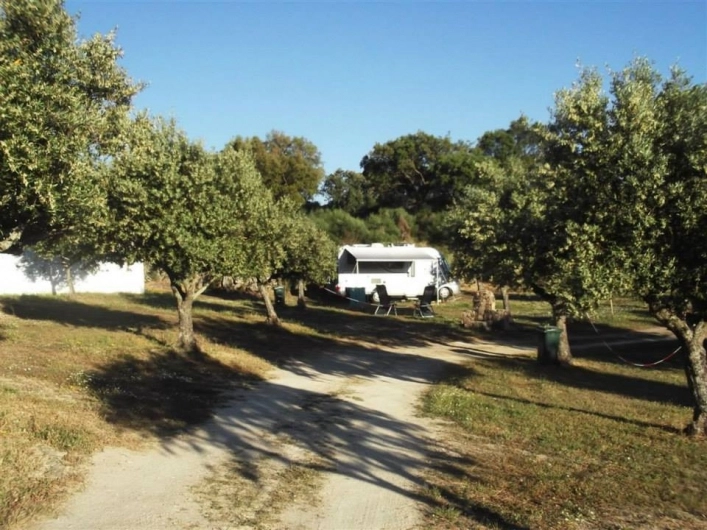 Camping Beira-Marvao Alentejo - zdjęcie 4