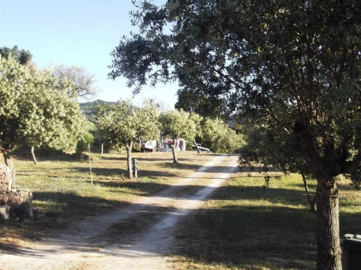 Camping Beira-Marvao Alentejo - zdjęcie 3