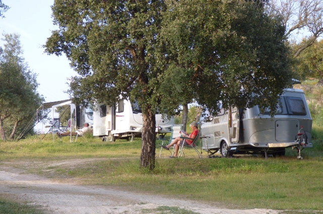 zobacz camping - zdjęcie 3
