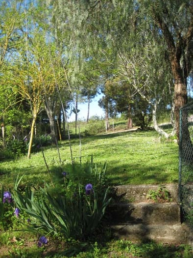 zobacz camping - zdjęcie 25