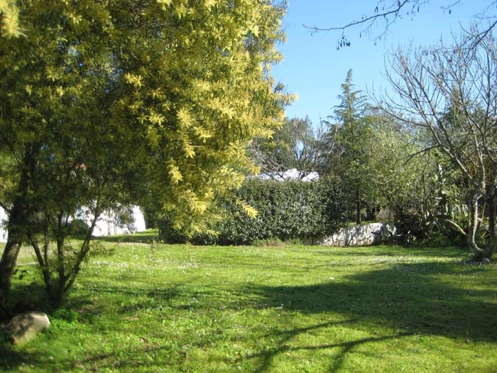 zobacz camping - zdjęcie 23