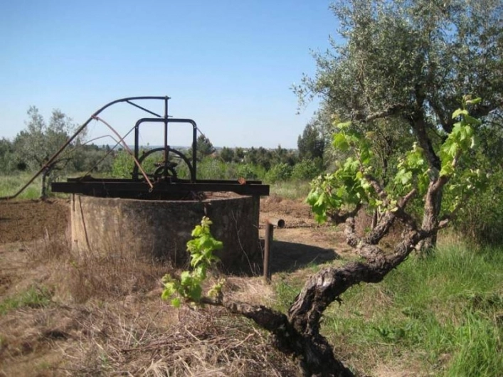 zobacz camping - zdjęcie 22