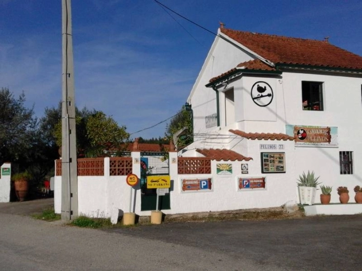 zobacz camping - zdjęcie 13