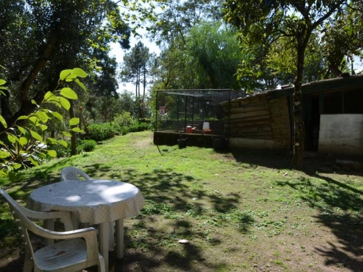 zobacz camping - zdjęcie 4