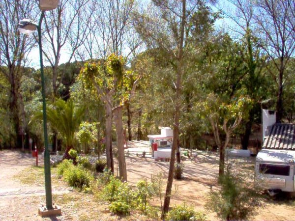 zobacz camping - zdjęcie 16